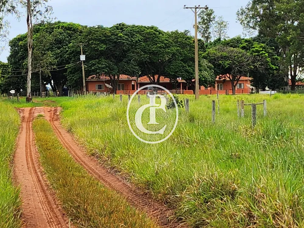 Fazenda, 643 hectares - Foto 12