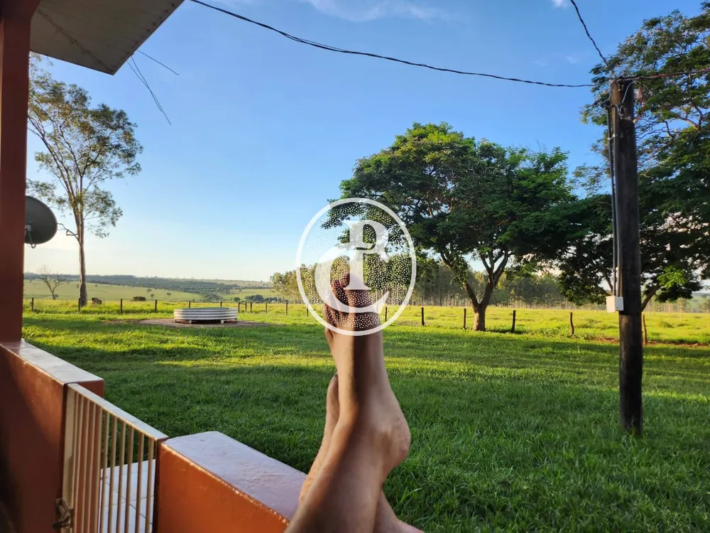 Fazenda, 643 hectares - Foto 8