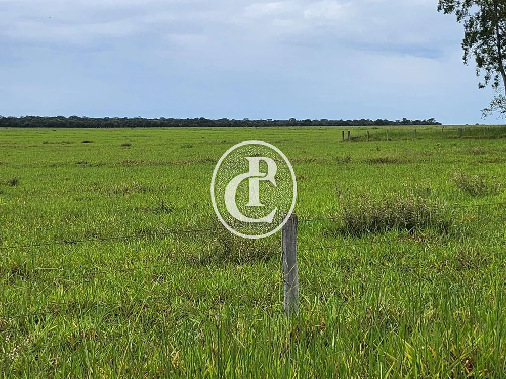Fazenda, 643 hectares - Foto 10