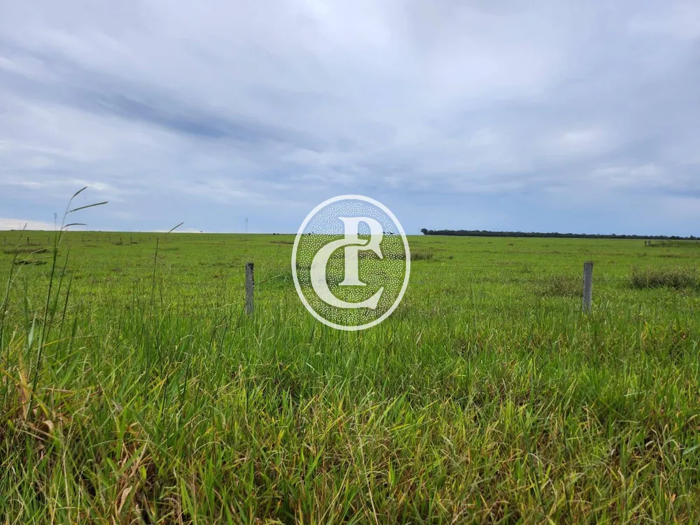 Fazenda, 643 hectares - Foto 9