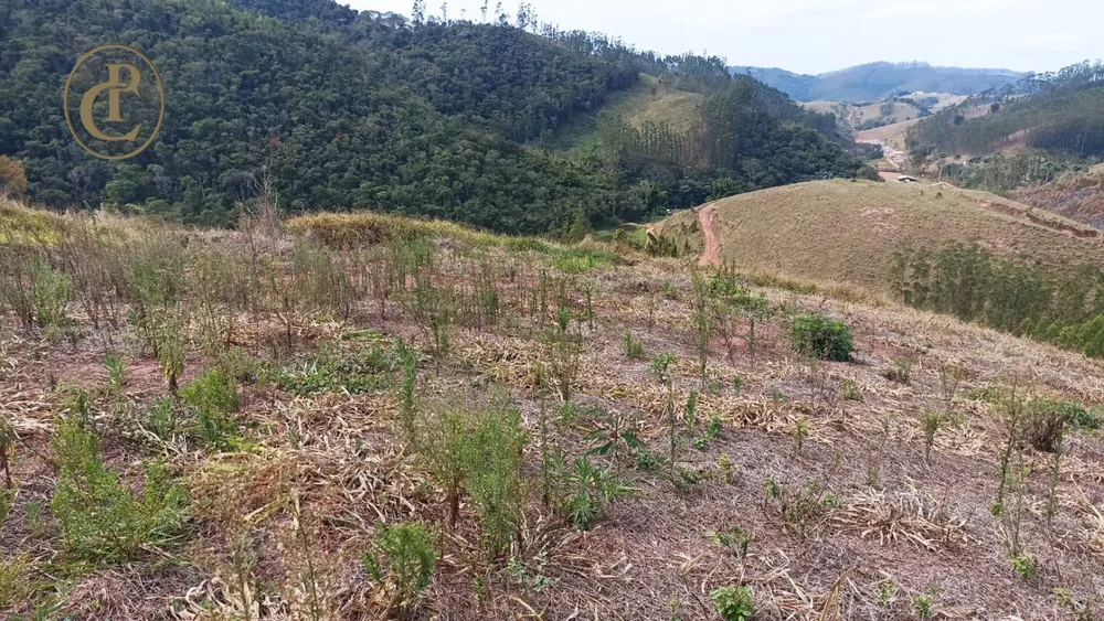 Terreno, 100 m² - Foto 2