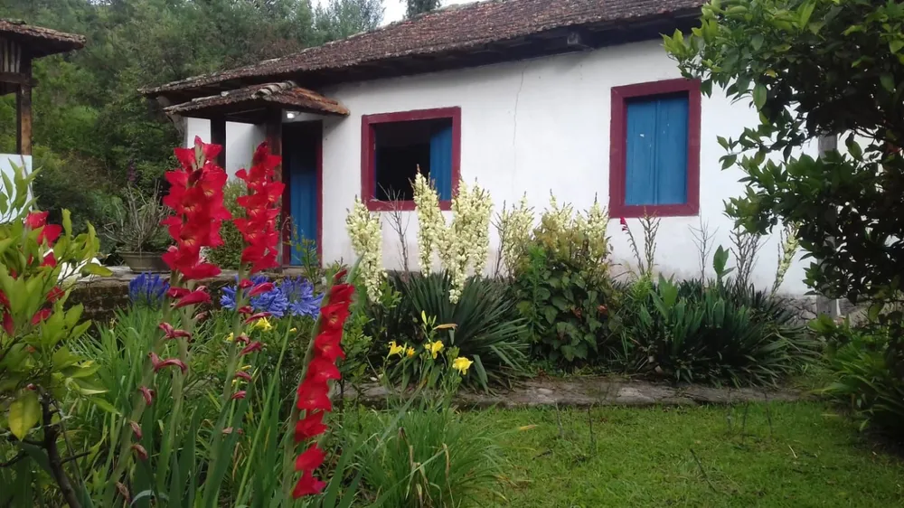 Terreno, 20 hectares - Foto 6