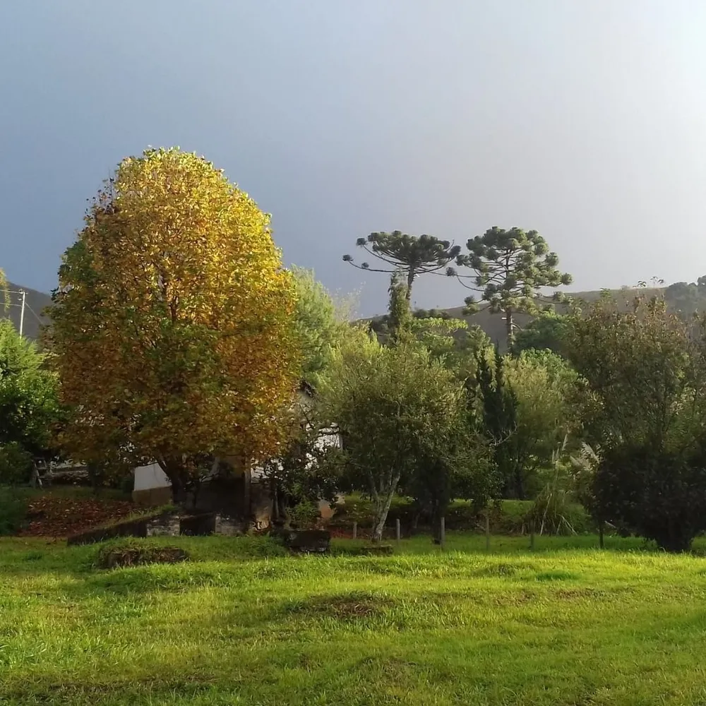 Terreno, 20 hectares - Foto 4