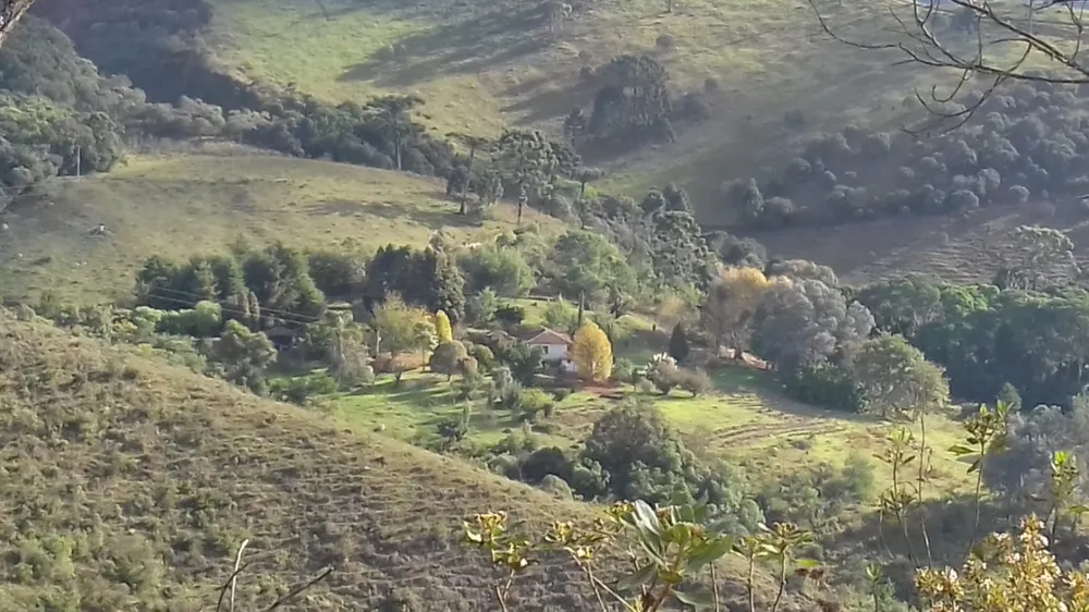 Terreno, 20 hectares - Foto 9