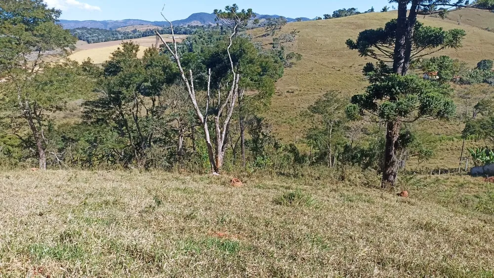 Terreno, 100 m² - Foto 5