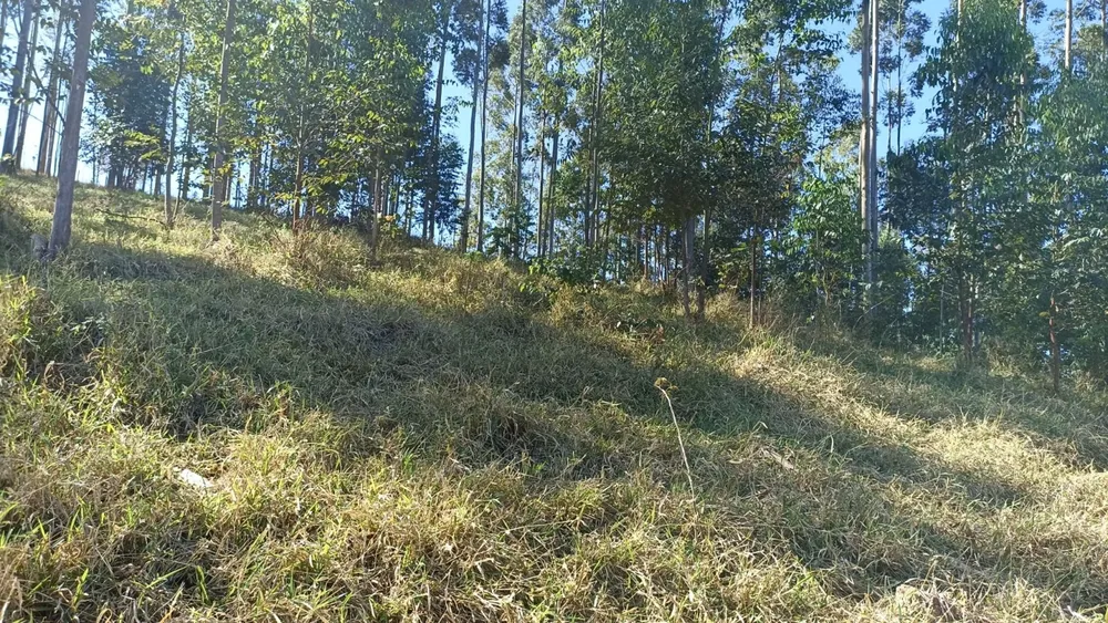 Terreno, 100 m² - Foto 10