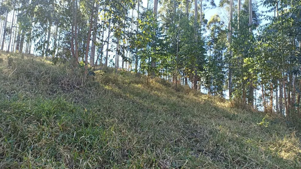 Terreno, 100 m² - Foto 9