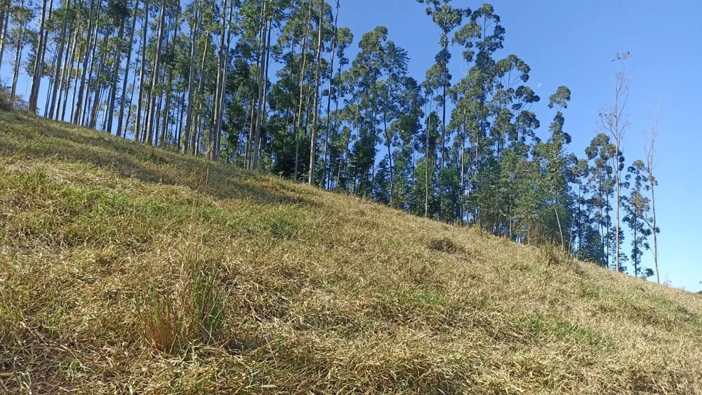 Terreno, 100 m² - Foto 6