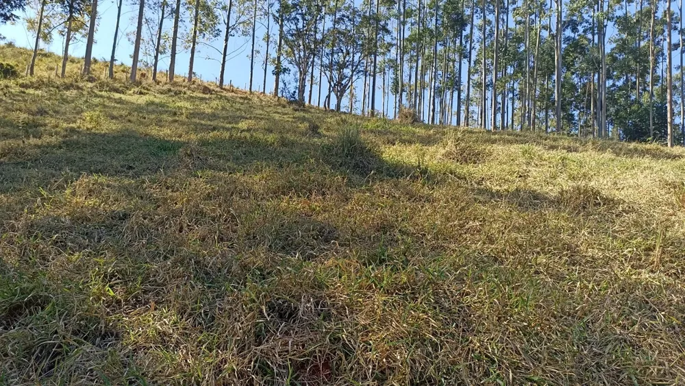 Terreno, 100 m² - Foto 7