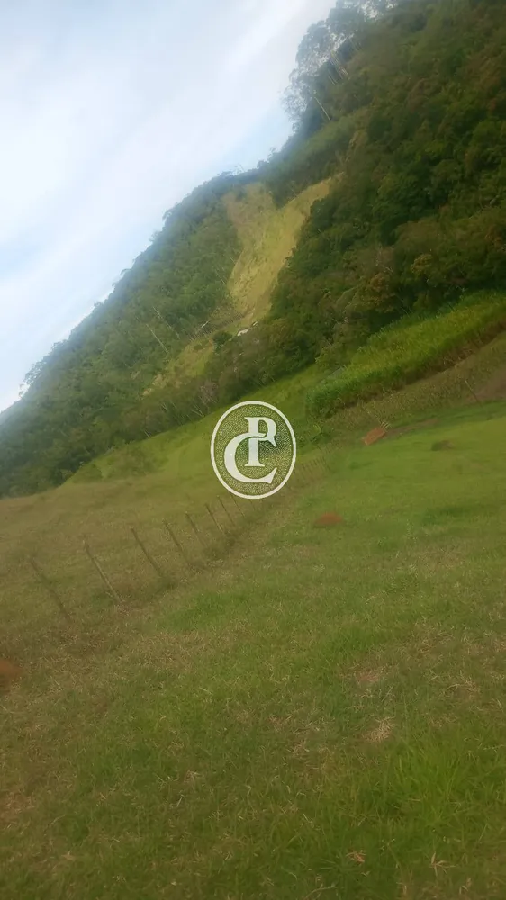 Sítio, 3 quartos, 34 hectares - Foto 8