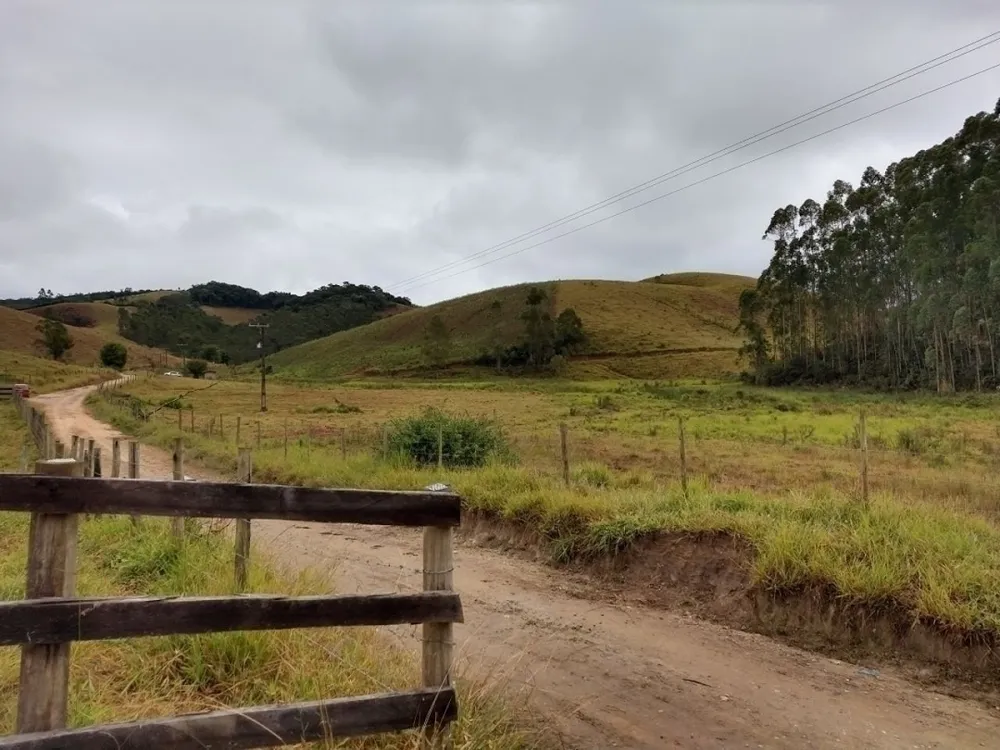 Fazenda, 46 hectares - Foto 2