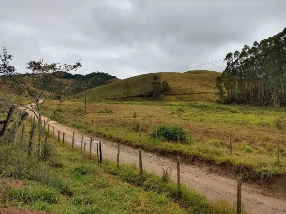 Fazenda, 46 hectares - Foto 3