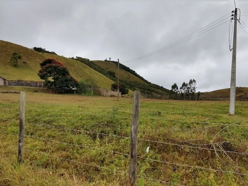 Fazenda, 46 hectares - Foto 7