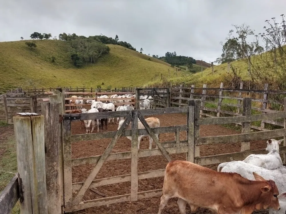 Fazenda, 46 hectares - Foto 4