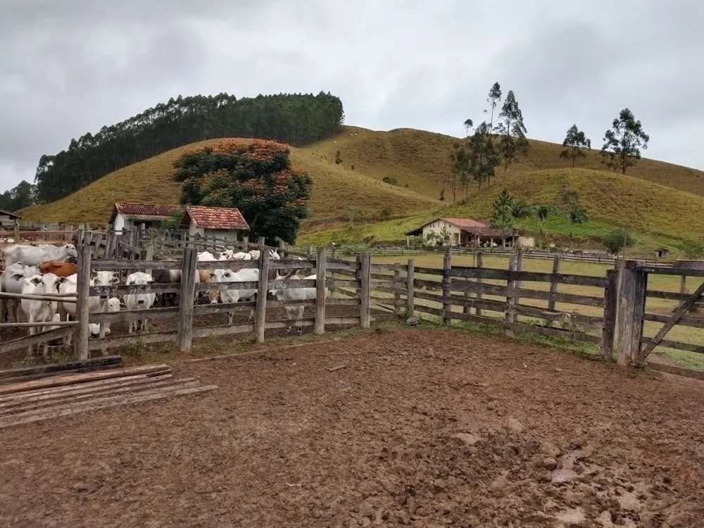 Fazenda, 46 hectares - Foto 1