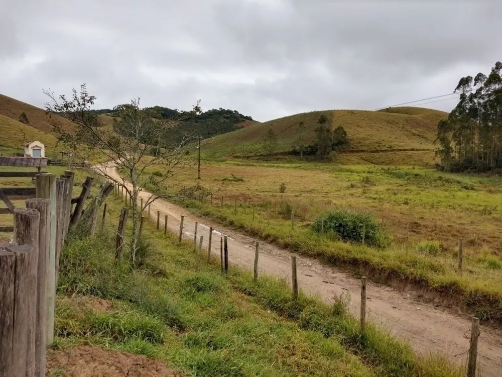 Fazenda, 46 hectares - Foto 9