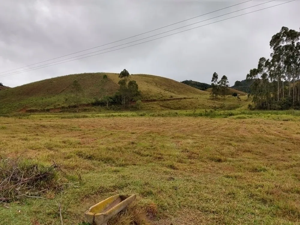 Fazenda, 46 hectares - Foto 3