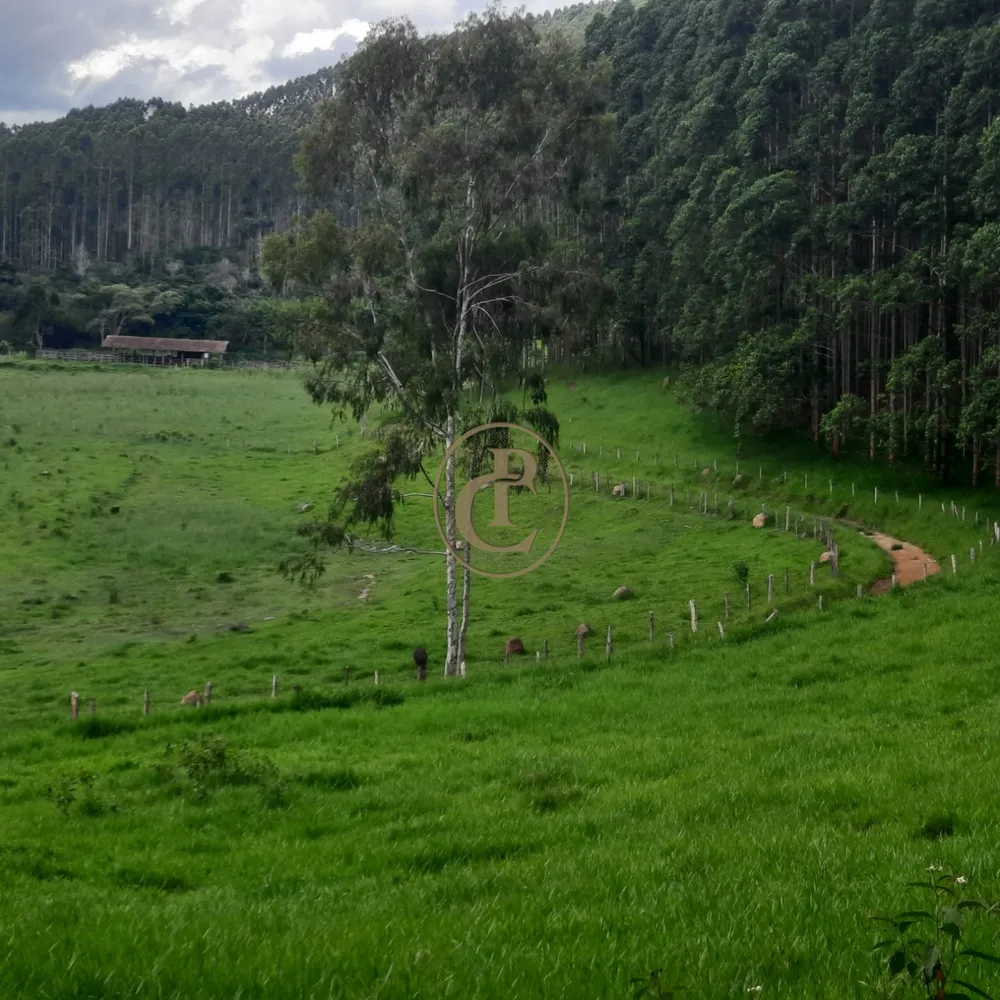 Fazenda, 500 m² - Foto 3