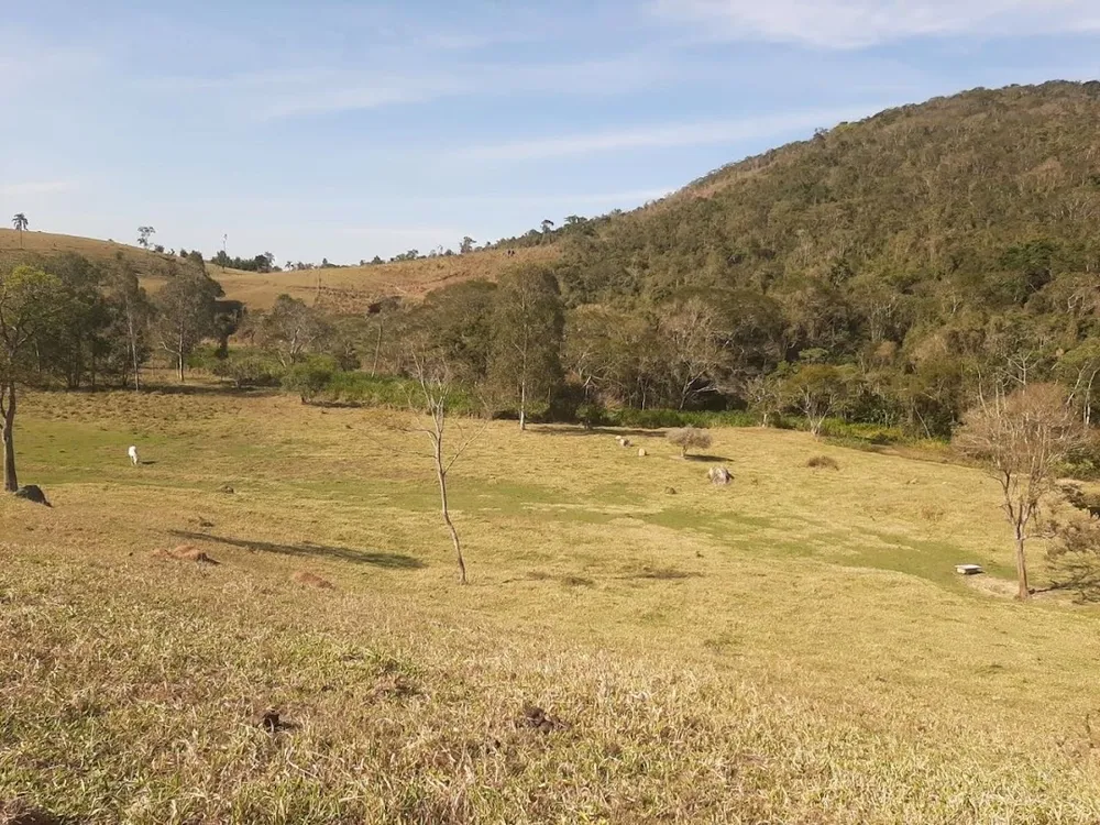 Fazenda, 150 hectares - Foto 9