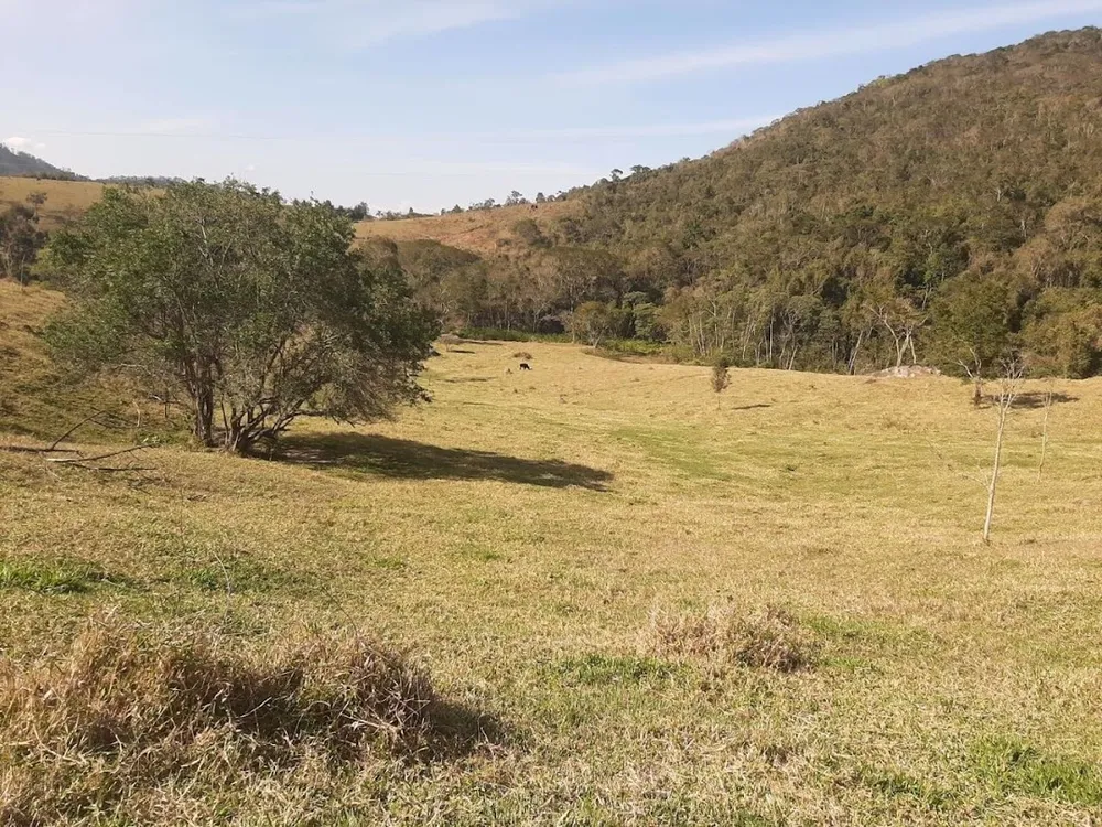 Fazenda, 150 hectares - Foto 10