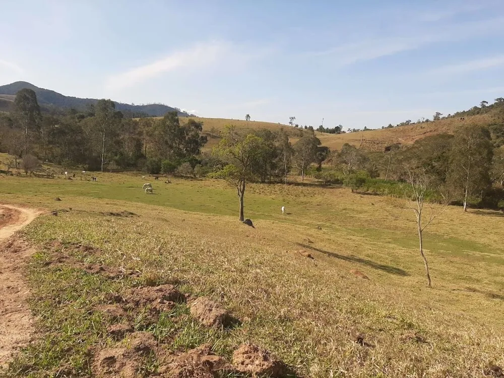 Fazenda, 150 hectares - Foto 1