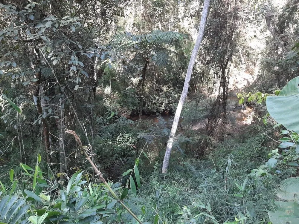 Fazenda, 150 hectares - Foto 13