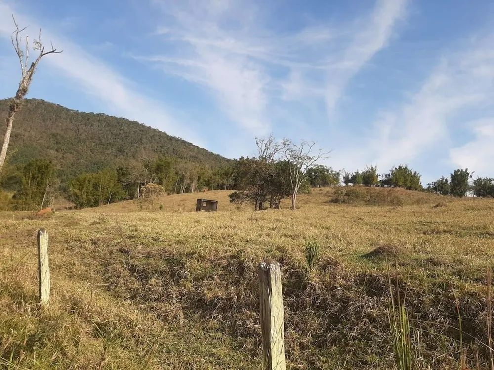 Fazenda, 150 hectares - Foto 6