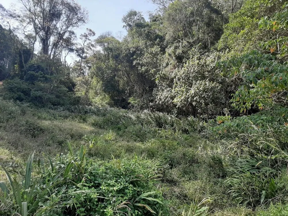 Fazenda, 150 hectares - Foto 16