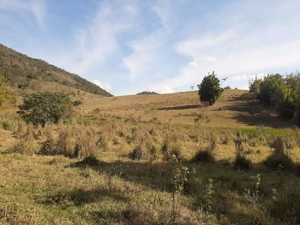 Fazenda, 150 hectares - Foto 4
