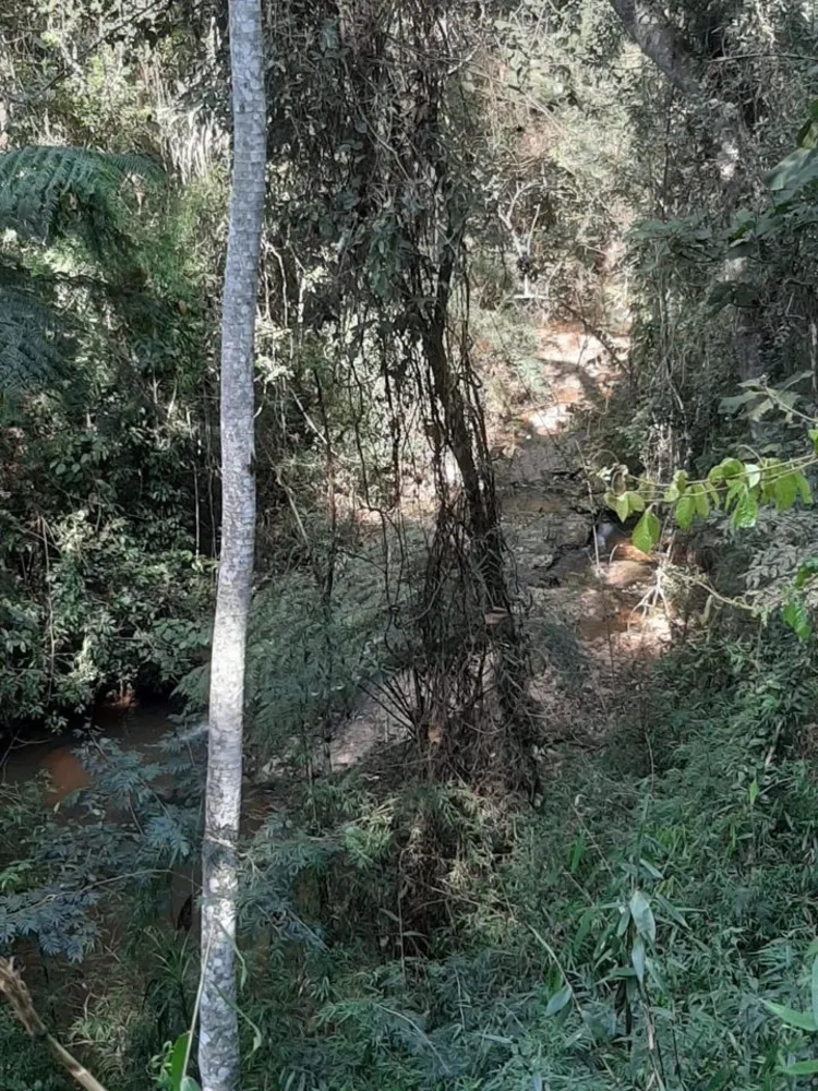 Fazenda, 150 hectares - Foto 14