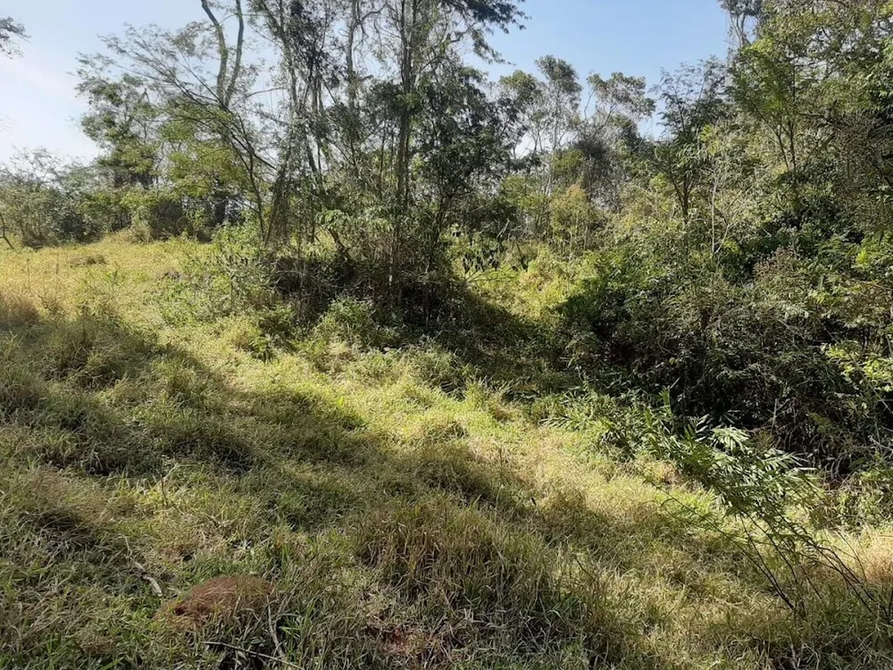 Fazenda, 150 hectares - Foto 12