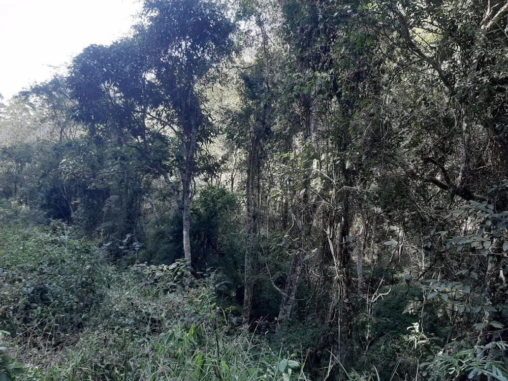 Fazenda, 150 hectares - Foto 15