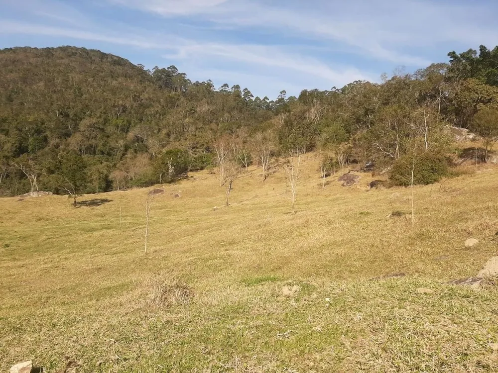 Fazenda, 150 hectares - Foto 11