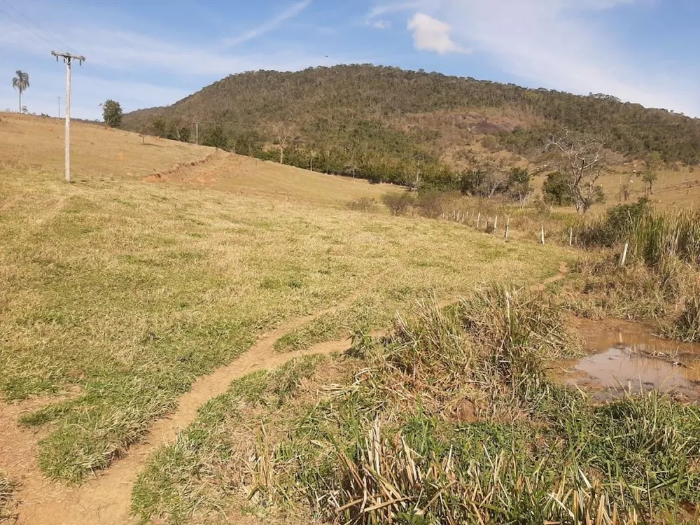 Fazenda, 150 hectares - Foto 8