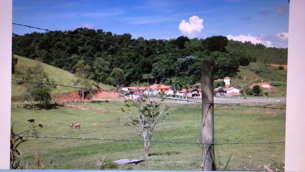 Fazenda, 97 hectares - Foto 3