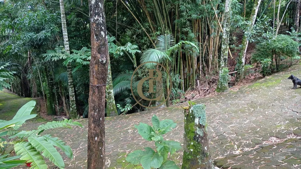 Sítio, 4 quartos, 13 m² - Foto 4