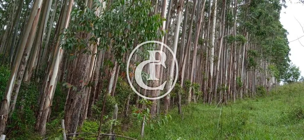 Fazenda, 600 m² - Foto 16