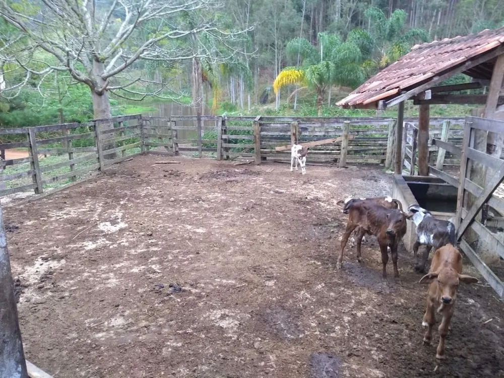 Fazenda, 600 m² - Foto 2