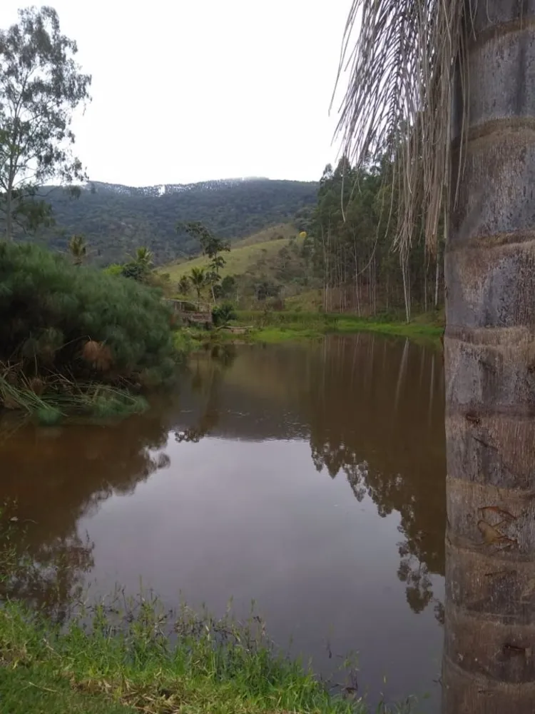 Fazenda, 600 m² - Foto 5