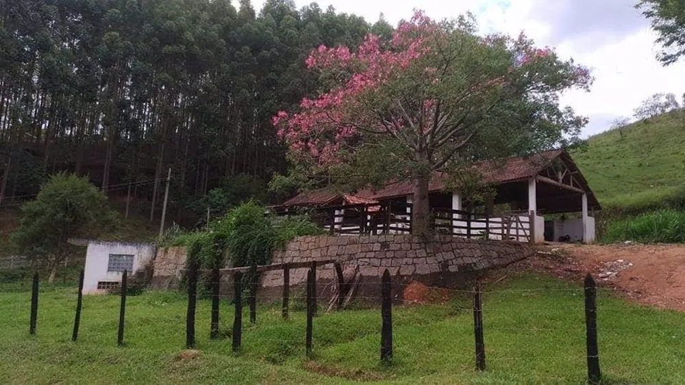 Fazenda, 600 m² - Foto 3
