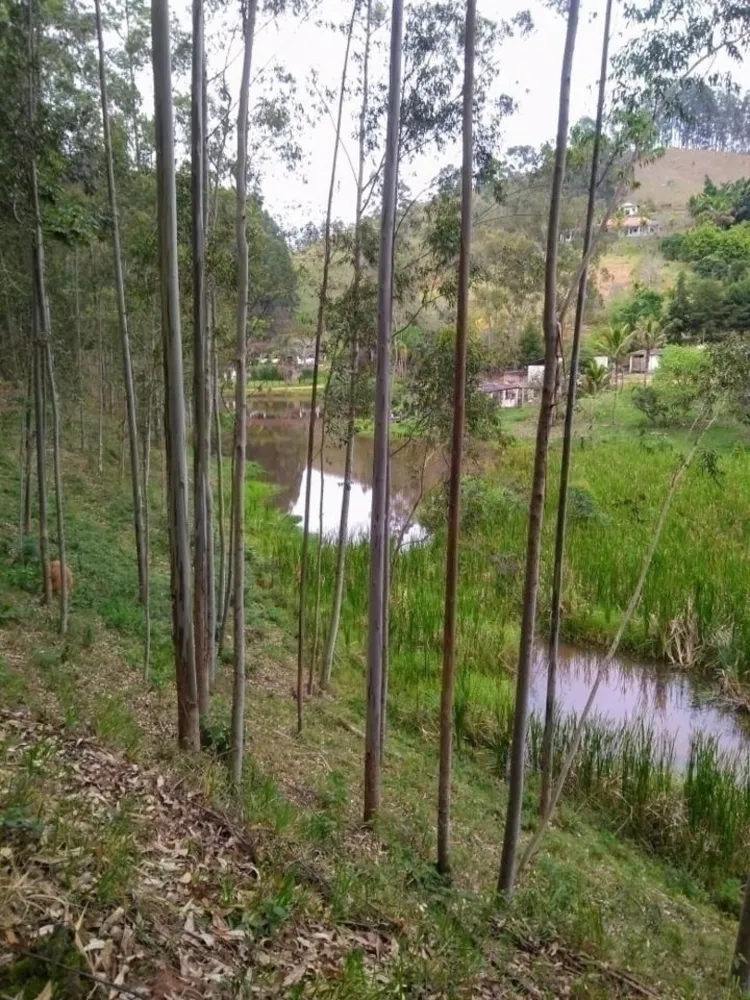 Fazenda, 600 m² - Foto 11