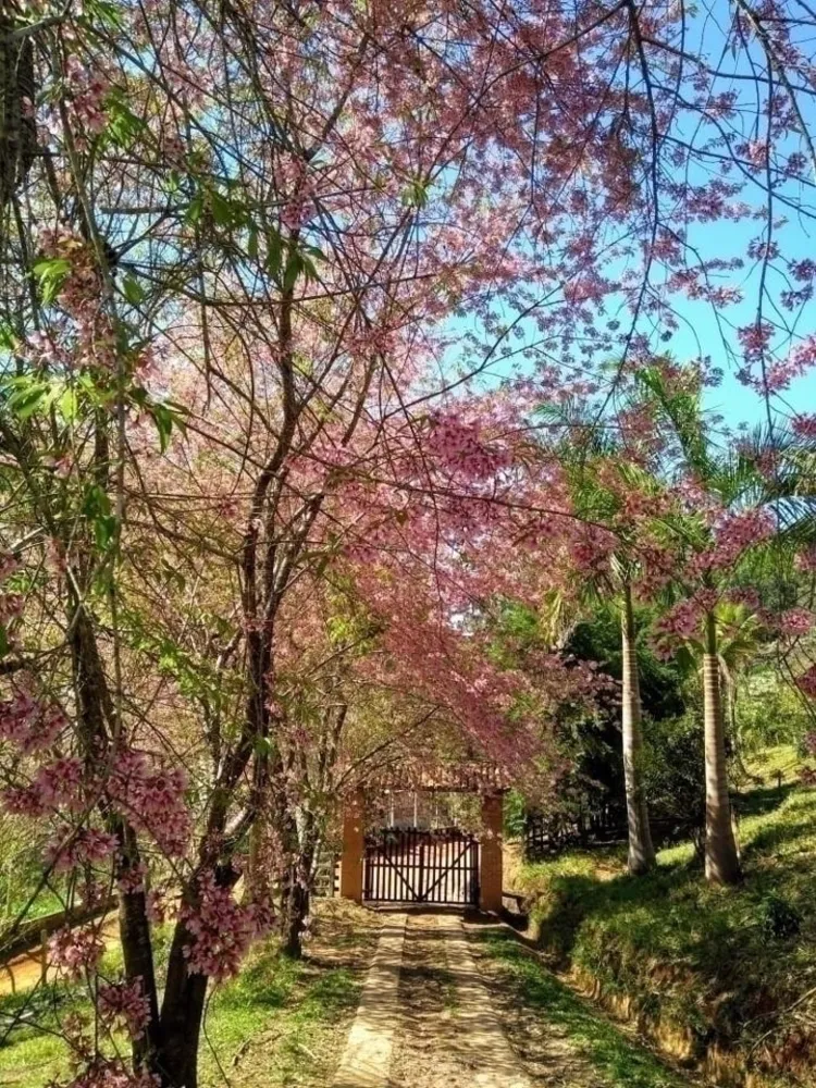 Fazenda, 600 m² - Foto 4