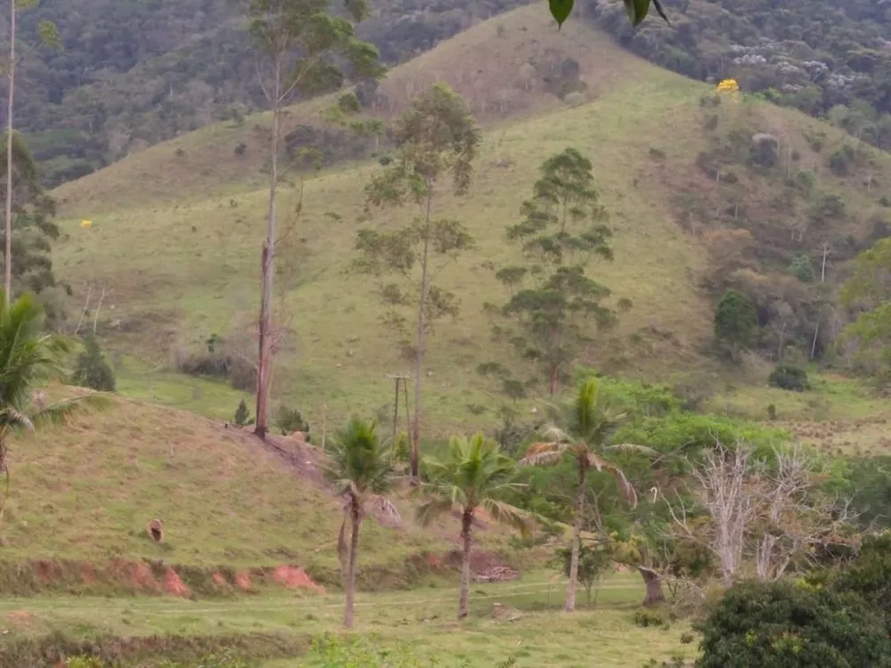Fazenda, 600 m² - Foto 12