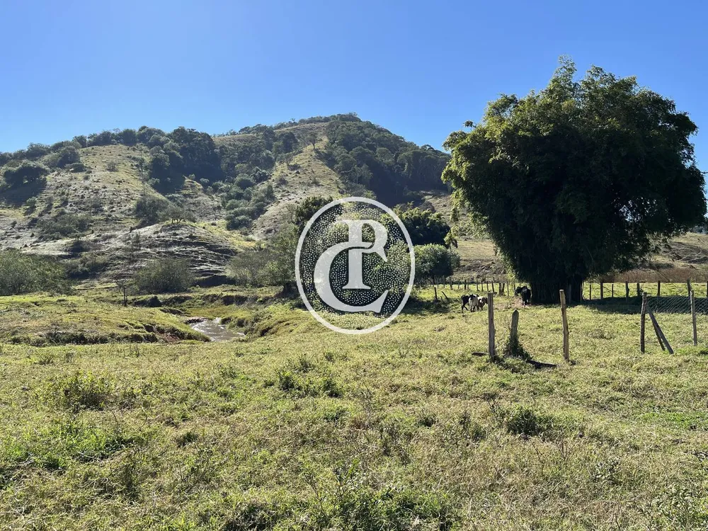 Sítio, 2 quartos, 2 hectares - Foto 4