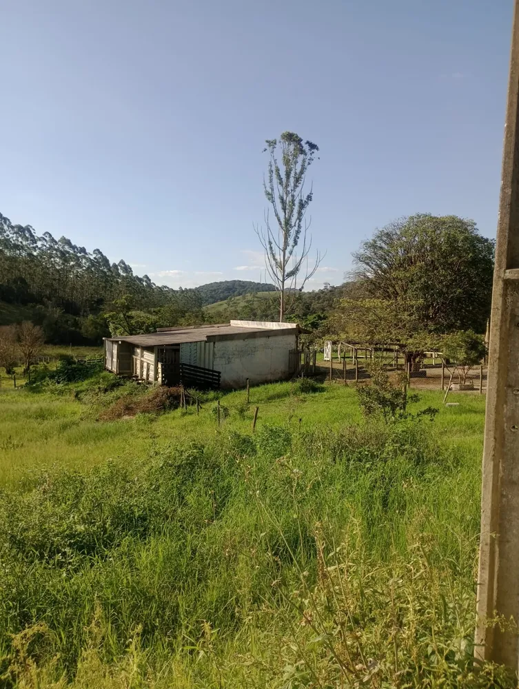 Fazenda, 300 m² - Foto 3