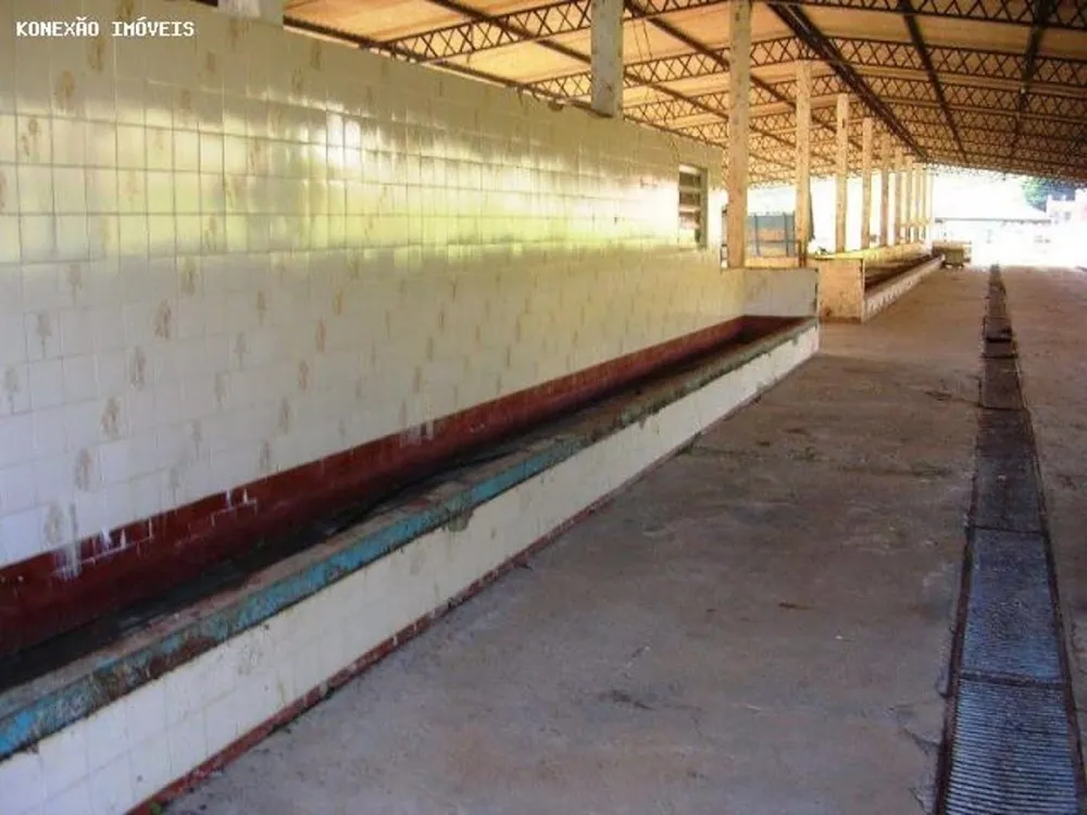 Fazenda, 136 m² - Foto 7