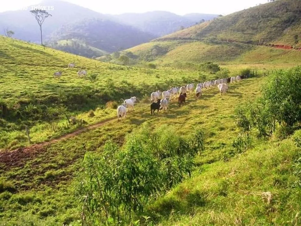 Fazenda, 136 m² - Foto 6