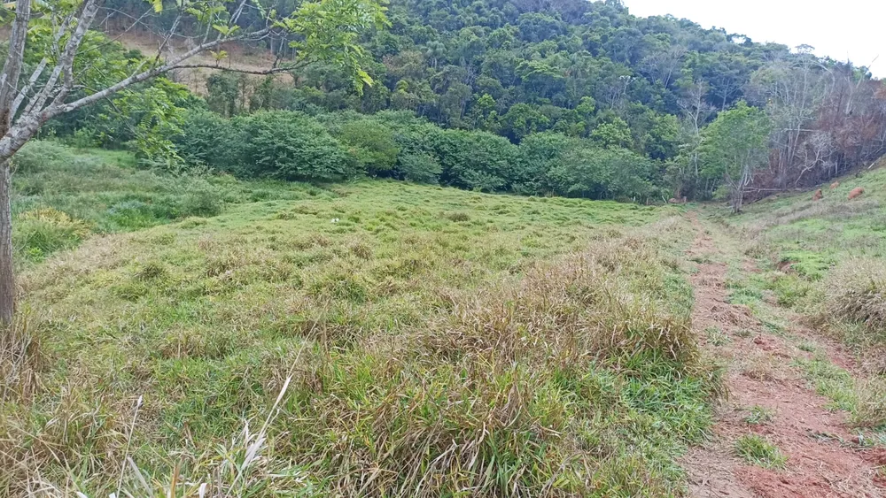 Sítio, 4 quartos, 200 m² - Foto 13