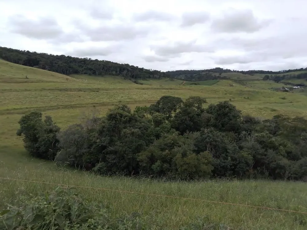 Fazenda, 130 hectares - Foto 19