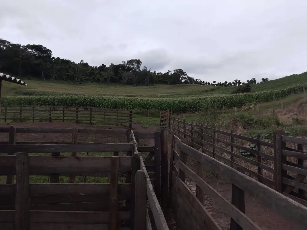 Fazenda, 130 hectares - Foto 12